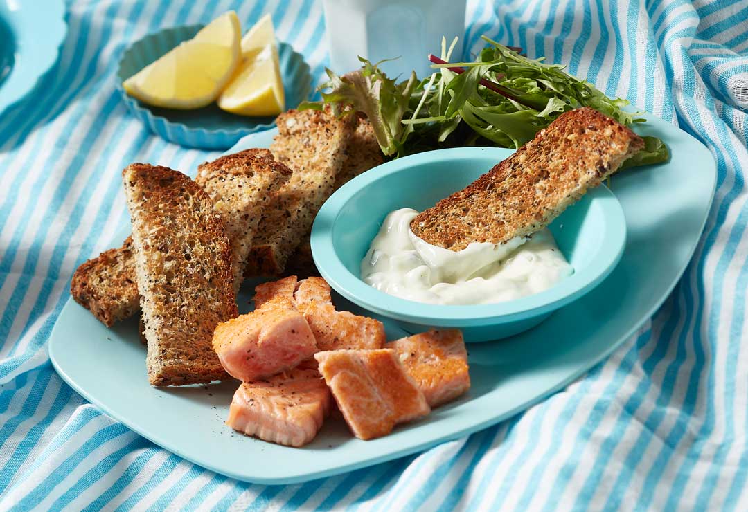 Seared salmon and tzatziki tasting plate