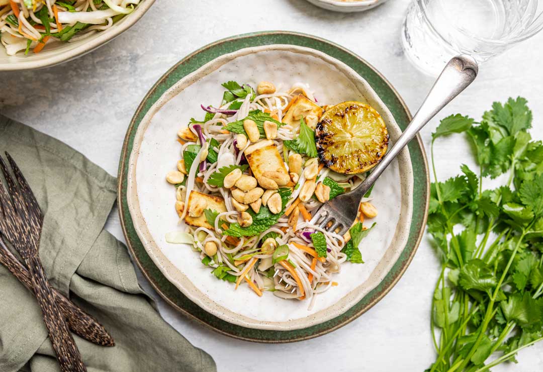 Tofu with Vietnamese Coleslaw